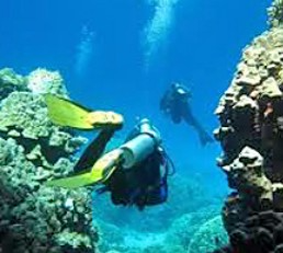 Scuba diving in Jávea